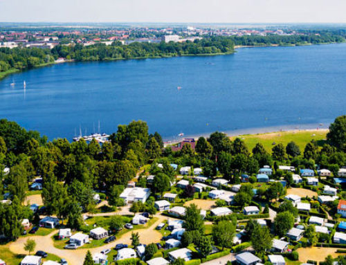 Senftenberger See